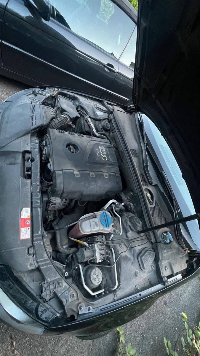 Audi A4 2008 — photo 6