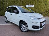 Fiat Panda 1.2L Easy SHZ+KLIMA+MFL+PDC+DAB+CITY-PAKET - Fiat Panda: Weiß, Sitzheizung