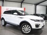 Land Rover Range Rover Evoque 2.0 D SE WHITE&BLACK PANORAMA - Land Rover Gebrauchtwagen in Hamm