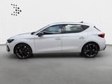 Cupra Leon 1.5 eTSI 150 PS *DSG*GJR*AHKvorber.*EDGE* - mit Benzin-Antrieb: Weiß, Sportsitze