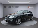 Audi SQ5 3.0 TDI competition quattro Xenon/ACC/B&O - Audi SQ5 mit Schiebedach