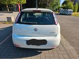 Fiat Punto Evo Twinair - Fiat Punto Evo Gebrauchtwagen