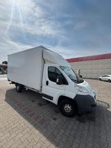 Peugeot Möbel Koffer. - Peugeot: Koffer