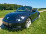 Volkswagen New Beetle 1.4 Excl.Sport,STEUERKETTE ERNEUERT!! - schwarze Volkswagen New Beetle
