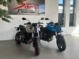 Suzuki GSX 8S /GSX800/Modell 25 /Abverkauf - Suzuki GSX-8S (GSX800)