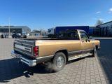 Dodge RAM, D-250 Pickup, Erstlack!, TOP-Patina-Zustand - Dodge Oldtimer
