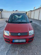 Fiat Panda 900. Bis Sonntag - Fiat Panda Gebrauchtwagen in Bielefeld