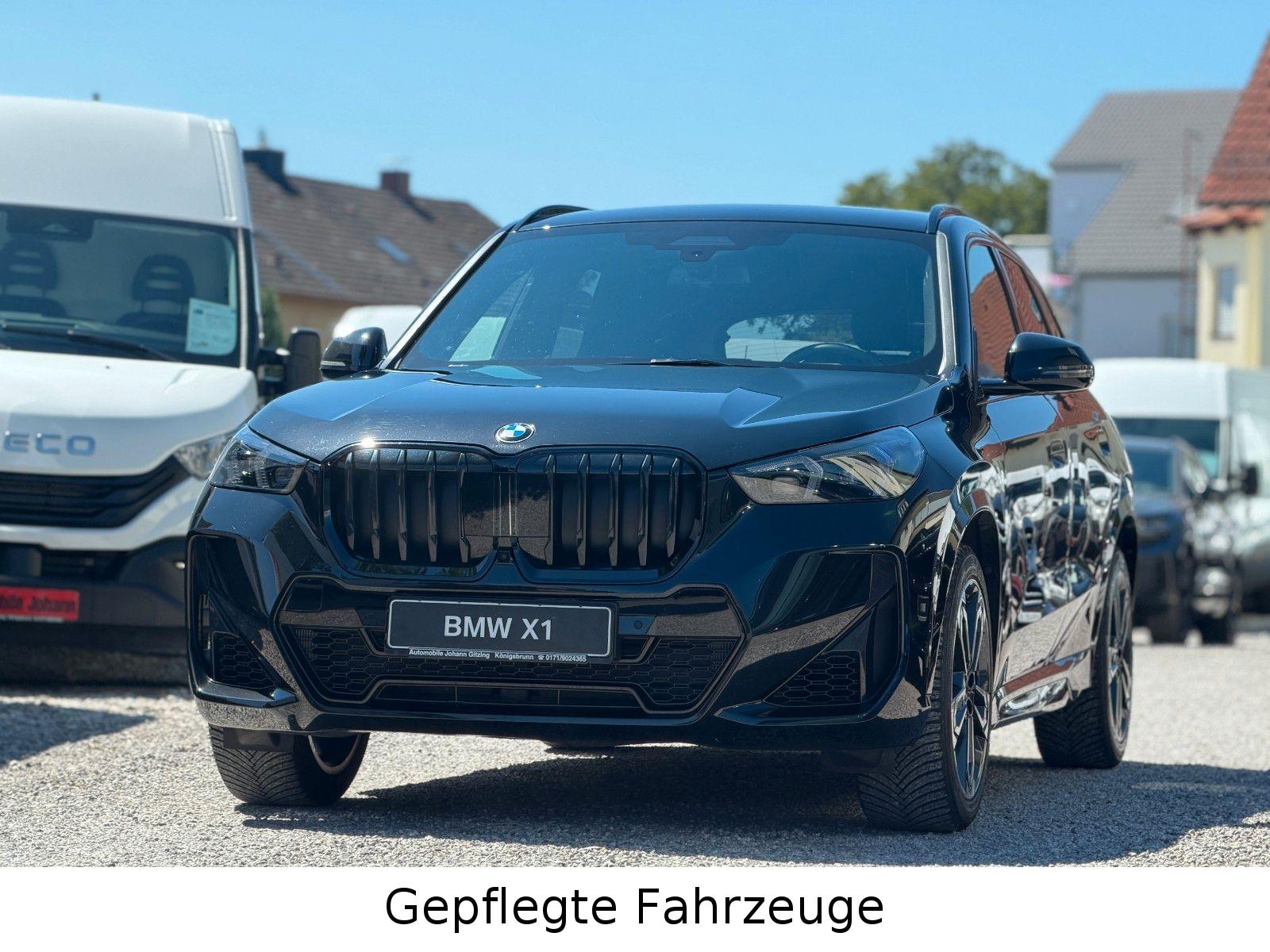 BMW X1 sDrive20i M Sport Pro 19"Shadow 360° Pano HuD, миниатюра 9