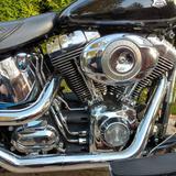 Harley-Davidson FAT- BOY - FLSTF- 5HD - HARLEY-DAVIDSON FAT BOY