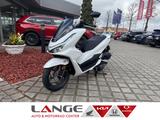 Honda PCX 125 WW125SS PCX125 DX-Version Tageszulassung - HONDA PCX125 DX