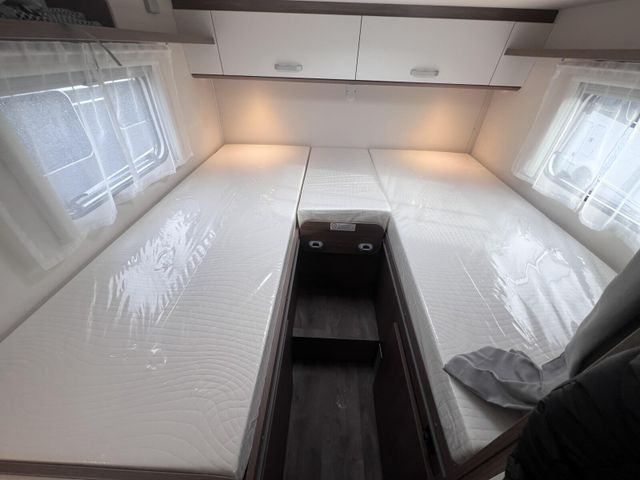 Carado V 337 *Modell 2026 Automatik*