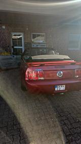 Ford Mustang Cabrio  - Ford Mustang aus 2005: Cabrio