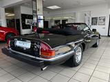 Jaguar XJS 5.3 2- DOOR CONVERTIBLE V12-Zylinder - Jaguar Gebrauchtwagen von 1989