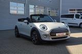 MINI Cooper Cabrio Aut. LED Navi Leder - MINI Cooper Cabrio: Automatik