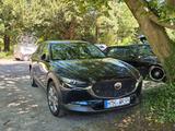 Mazda CX-30 2.0 SKYACTIV-X M-Hybrid Selection Sele... - Mazda CX-30 Gebrauchtwagen in Frankfurt