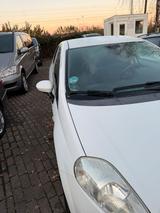Fiat Punto - Fiat Punto Gebrauchtwagen in München