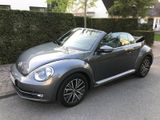 Volkswagen Beetle 1.4 TSI "Allstar" Platinum Grey-Metallic - Volkswagen Beetle mit Benzin-Antrieb: Cabrio, 1.4