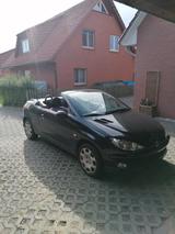Peugeot 206 CC Tendance 110 Tendance - Peugeot 206 Tendance mit Benzin-Antrieb