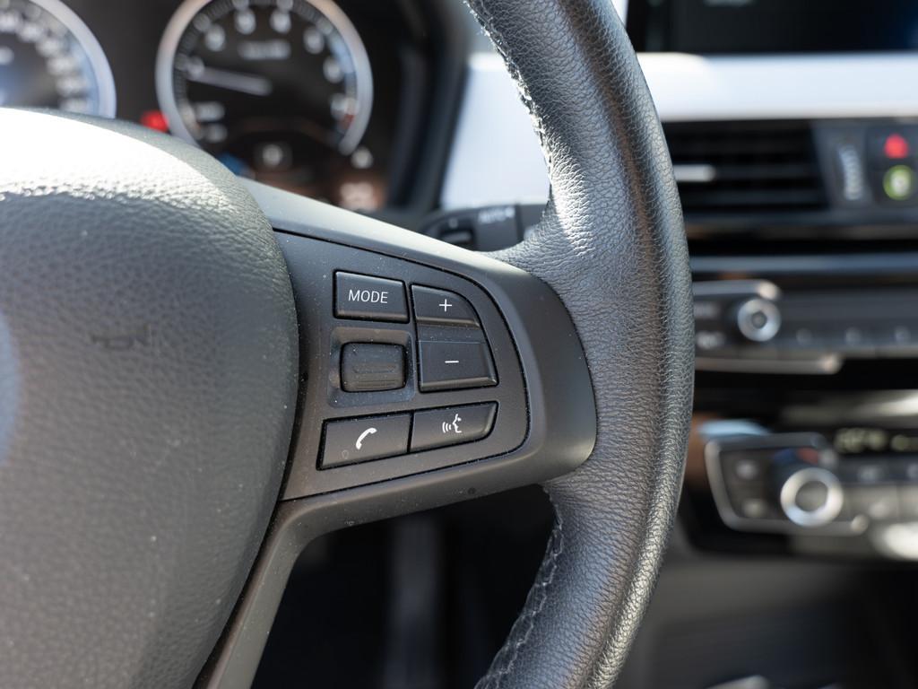 BMW X1 xDrive25e Advantage FACEL. AHK NAVI KAMERA, миниатюра 19