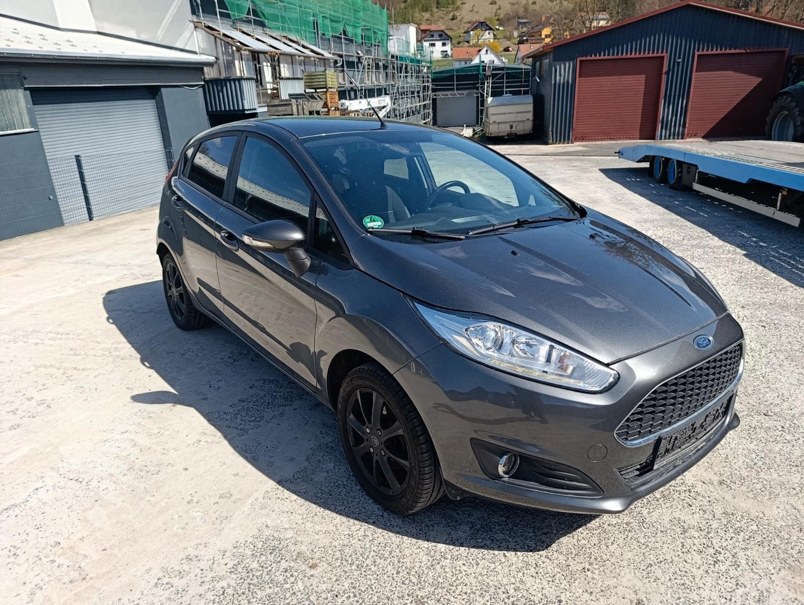 Ford Fiesta Celebration