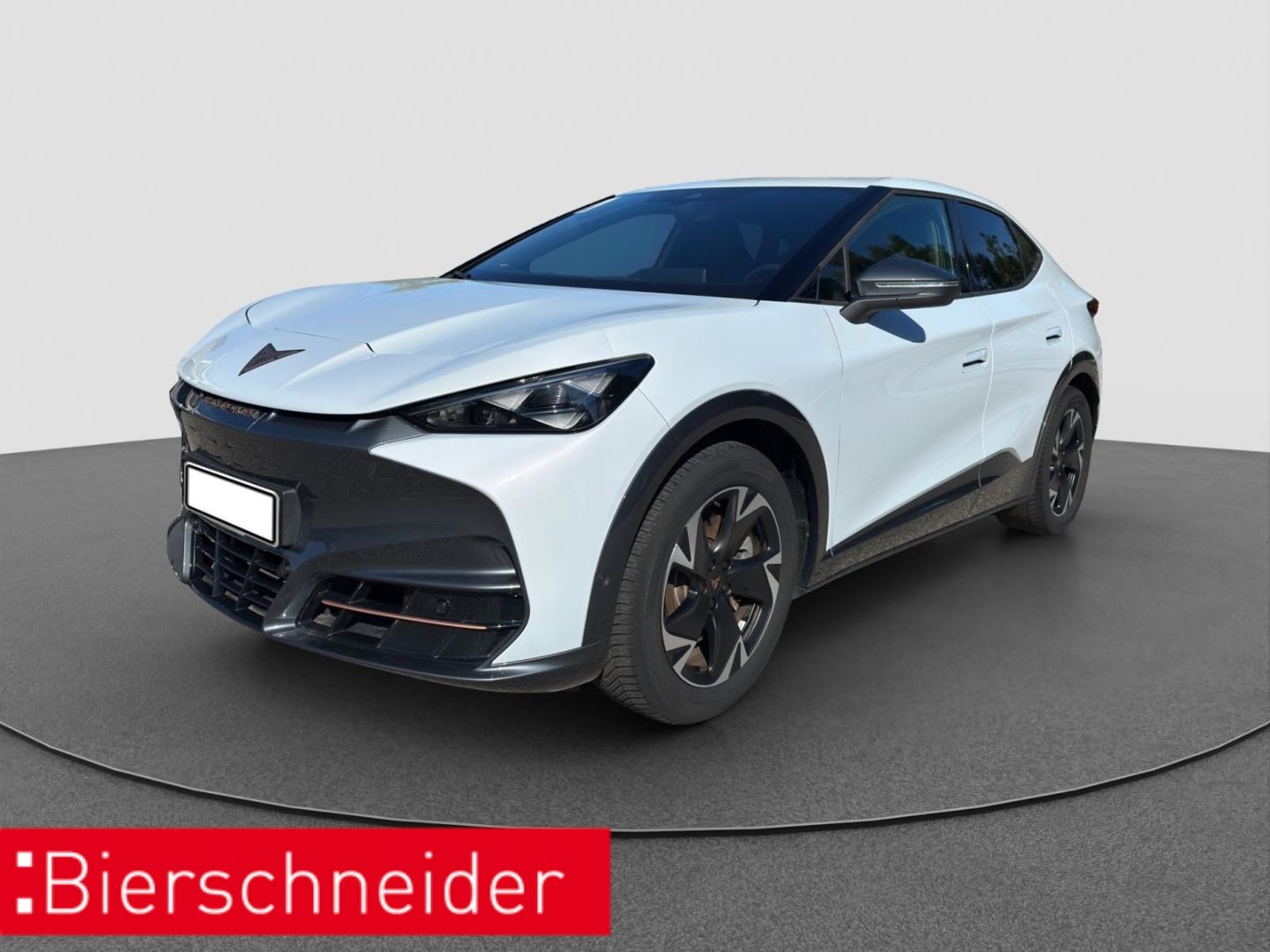 Cupra Tavascan Endurance ALCANTARA WÜPU NAVI 360SHZ