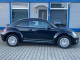 Volkswagen Beetle Lim. Cup*PANO*PDC*KLIMAAUT*SHZ*MFL*TEMPO* - Volkswagen Beetle: Cup