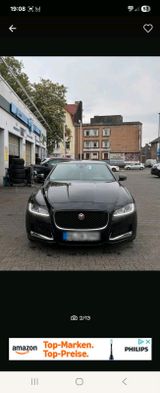 Jaguar jaguar xf 2.0 2016 - Jaguar XF mit Diesel-Antrieb: 2.0