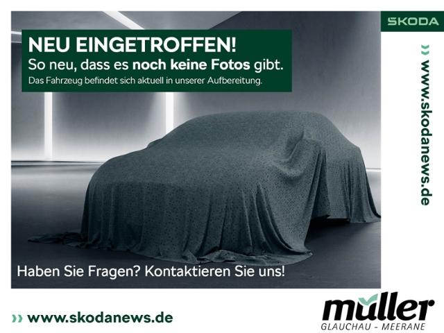 Skoda Scala Cool&Sound SmartLink SHZ PDC