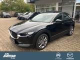 Mazda CX-30 Klimaaut.|NAVI|Kamera|PDC|CarPlay|*TZ* - Mazda CX-30 in Bielefeld