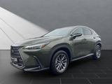 Lexus NX 350h Executive Line - Lexus NX 350h SUV