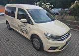 Volkswagen Caddy PKW Maxi Comfortline BMT - Volkswagen Caddy: ESP