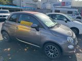 Fiat 500 Dolcevita - Fiat 500 Tageszulassungen mit Benzin-Antrieb: Cabrio