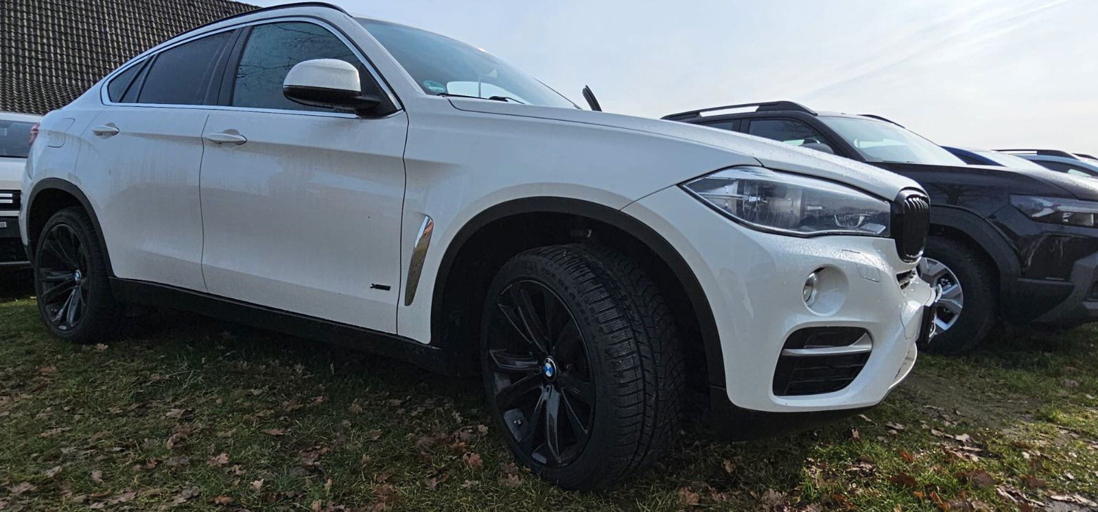 BMW BMW X6 F16 3,0 d