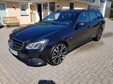 Mercedes-Benz E 220 Edition  4Matic Pano 19" Comand  Night-P - Mercedes-Benz E 220 mit Diesel-Antrieb: Kombi, 2.2