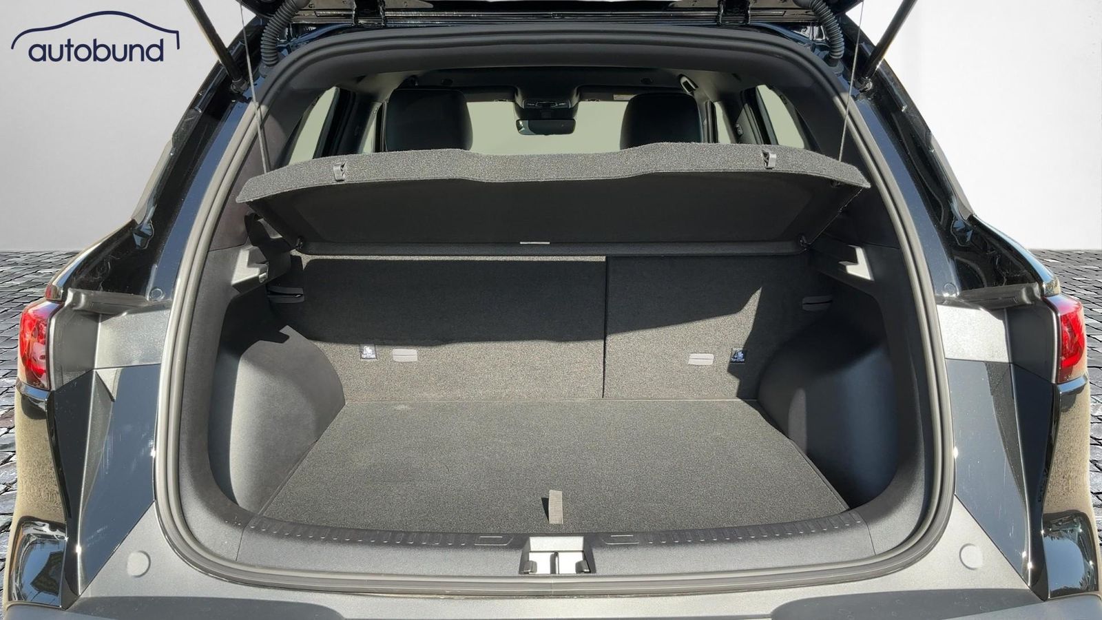 BYD ATTO 2
