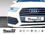 Audi Q3 1.4TFSI 110kW DSG Sport *AHK*DRIVE SELECT*XEN - Audi in Bonn: Q1