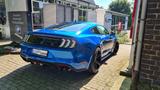 Ford Mustang 5.0 Ti-VCT V8 GT Automatik MagneRide - Ford Mustang Gebrauchtwagen in Duisburg