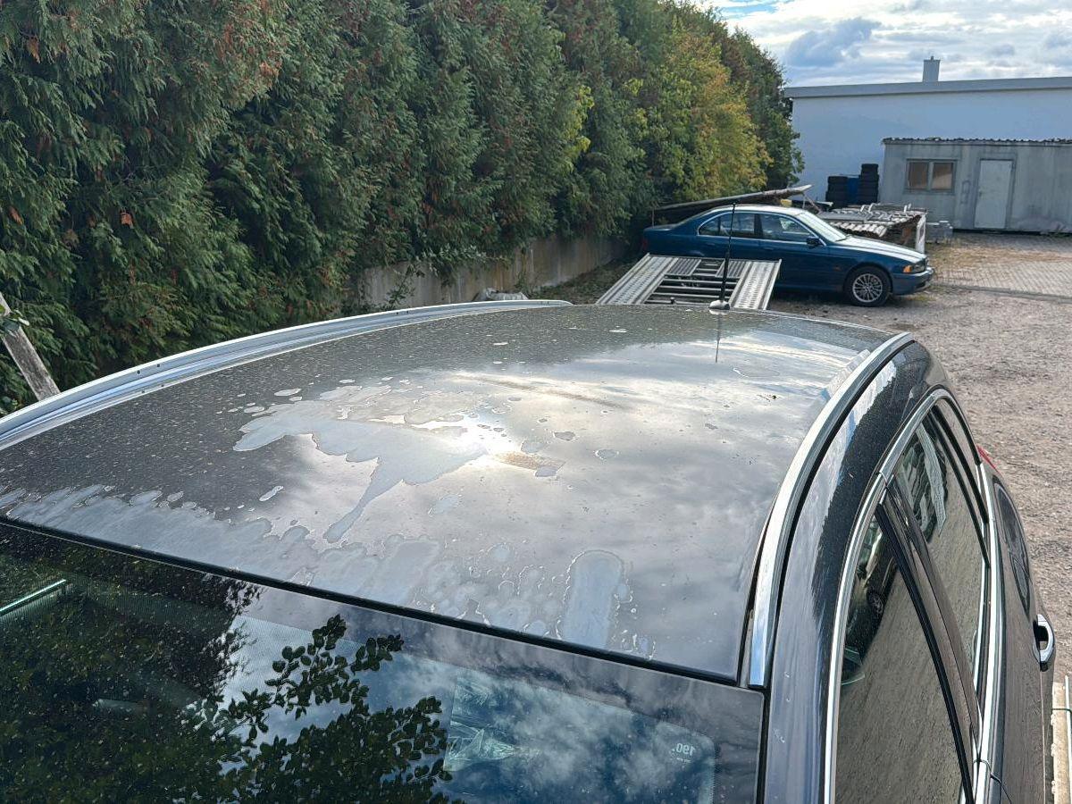 Opel Insignia 2010 — rear view