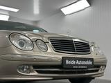 Mercedes-Benz E 320 AVANTGARDE XENON AHK "HOCHWERTIG" - Mercedes-Benz E 320: Avantgarde