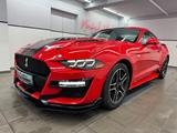 Ford Mustang 2.3 Eco Shelby GT-500/Race-Red/DuplexAGA - gebrauchte Ford Mustang aus dem Jahr 2022