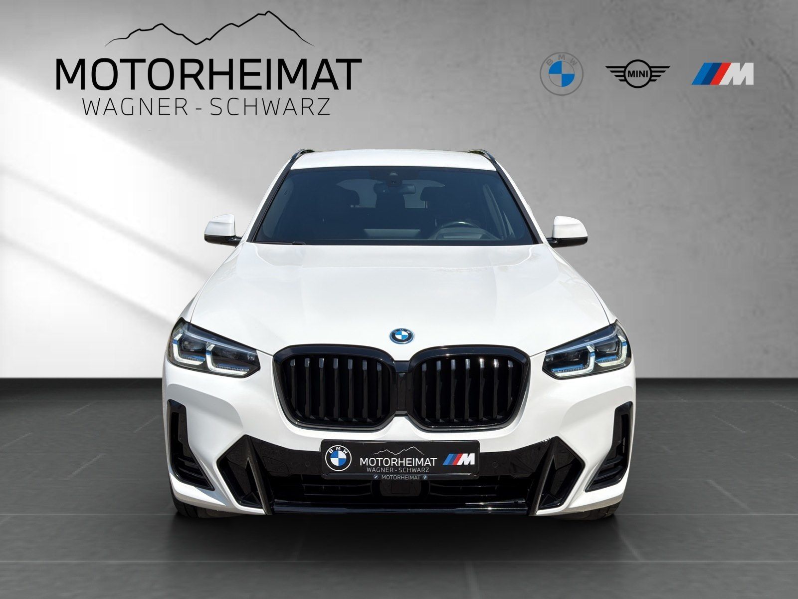 BMW X3 xDrive30e M Sport Laser ACC HUD eSitze foto 3