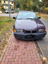 BMW 3er BMW E36 Compact - BMW: 3er E36
