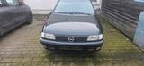 Opel Astra F 1,6 Cabrio - Opel Astra: Cabrio, F