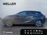 Lexus UX 250h F SPORT Design *Bi-LED*ACC*RCam*SHZ*PDC* - Lexus aus 2023