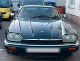 Jaguar XJS 1995 Coupe - Jaguar XJS mit Benzin-Antrieb: Coupé