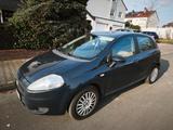 Fiat Punto 1.4 8V Active Active - Fiat Punto in Wiesbaden