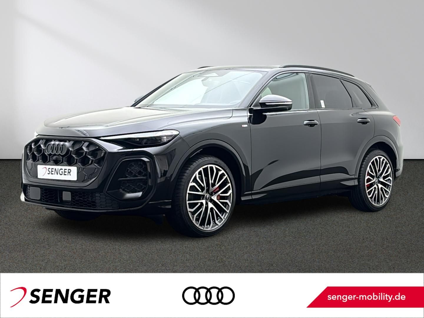 Audi Q5 TDI quattro S tronic Navi Matrix Memory Pano.
