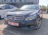 Mercedes-Benz E 350 T-Modell BlueTec 4Matic/ WenigKm/Euro6 - Mercedes-Benz E 350: Matic