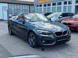 BMW 218i Aut./Cabrio/Leder-Navi-Pdc - gebrauchte BMW 218 aus dem Jahr 2018
