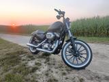 Harley-Davidson XL 883